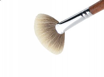 E05620Oil & Acrylic brush(FAN)